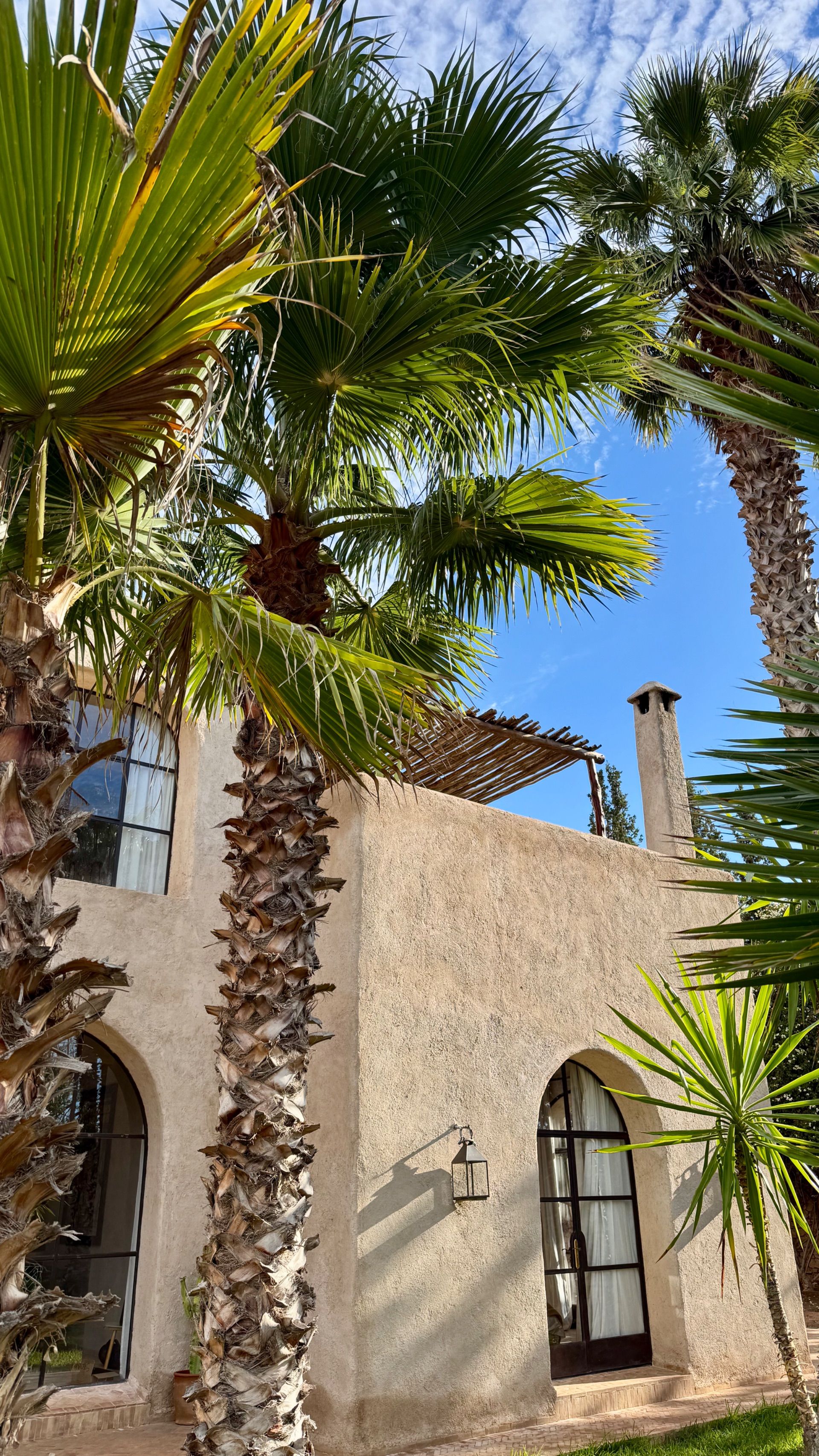Dar Najma — extérieurs et jardins · villa de luxe avec piscine chauffée à Essaouira